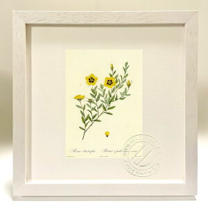 ŉ G TExxtHA hD[e {^jJ KN o CeA z z i G |X^[ A[g A[gpl rO  v[g _ A[gt[