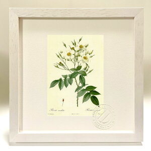 �ŉ� �G�� ���T�E���X�J�[�^ ���h�D�[�e �{�^�j�J�� �K�N �o�� �C���e���A �z���� �z���� ���i�� ���G �|�X�^�[ �A�[�g �A�[�g�p�l�� ���r���O ���� �v���[���g ���_�� �A�[�g�t���[�� ���� S