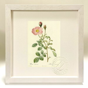 ŉ G TEXR[T hD[e {^jJ KN o CeA z z i G |X^[ A[g A[gpl rO  v[g _ A[gt[  S