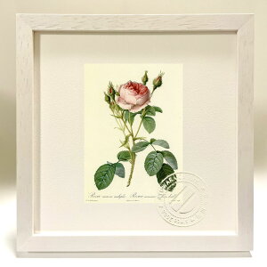 ŉ G TEXR[TEeBvbNX hD[e {^jJ KN o CeA z z i G |X^[ A[g A[gpl rO  v[g _ 