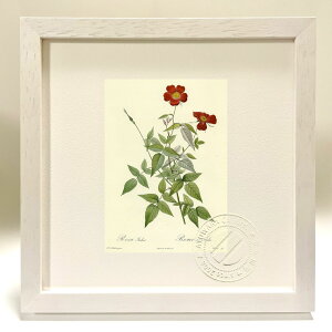 ŉ G TECfBJ hD[e {^jJ KN o CeA z z i G |X^[ A[g A[gpl rO  v[g _ A[gt[  S