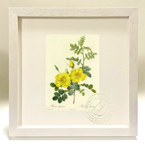 ŉ G TEGOeA hD[e {^jJ KN o CeA z z i G |X^[ A[g A[gpl rO  v[g _ A[gt[ 