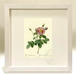 ŉ G TEPeBtHAEVvbNX hD[e {^jJ KN o CeA z z i G |X^[ A[g A[gpl rO  v[g _