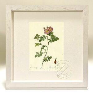 ŉ G TErMm[TEgDt[ hD[e {^jJ KN o CeA z z i G |X^[ A[g A[gpl rO  v[g _ A