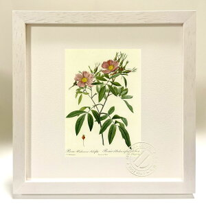 ŉ G TEnh\jA[iETLtHA hD[e {^jJ KN o CeA z z i G |X^[ A[g A[gpl rO  v[g _ 