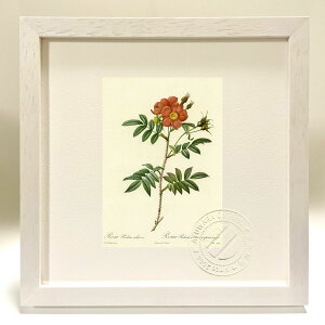 ŉ G TEhD[eAExXPX hD[e {^jJ KN o CeA z z i G |X^[ A[g A[gpl rO  v[g _ A[