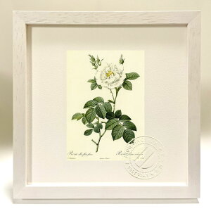 ŉ G TEAoEt[Evm hD[e {^jJ KN o CeA z z i G |X^[ A[g A[gpl rO  v[g _ A[g