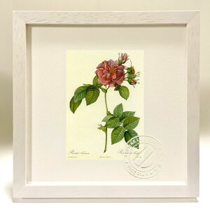 ŉ G TEgDri[^ hD[e {^jJ KN o CeA z z i G |X^[ A[g A[gpl rO  v[g _ A[gt[ 