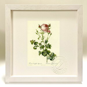 ŉ G TEPeBtHAErsi[^ hD[e {^jJ KN o CeA z z i G |X^[ A[g A[gpl rO  v[g _ 