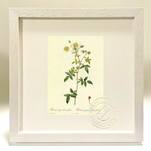 ŉ G TEZyEBXEO{[T hD[e {^jJ KN o CeA z z i G |X^[ A[g A[gpl rO  v[g _ 