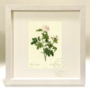 ŉ G TEIxbTlA hD[e {^jJ KN o CeA z z i G |X^[ A[g A[gpl rO  v[g _ A[gt[ 