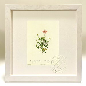 ŉ G TECfBJEv~(t[EVvL) hD[e {^jJ KN o CeA z z i G |X^[ A[g A[gpl rO  v[