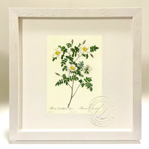 yI|Cg100obNzŉ G TEJhAiEGKX hD[e {^jJ KN o CeA z z i G |X^[ A[g A[gpl rO 