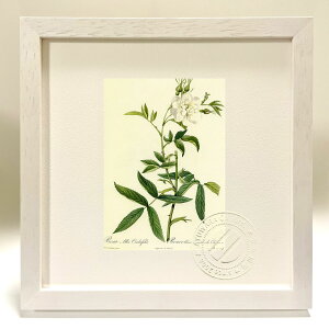 ŉ G TEAoELoGtHA hD[e {^jJ KN o CeA z z i G |X^[ A[g A[gpl rO  v[g _ A[g