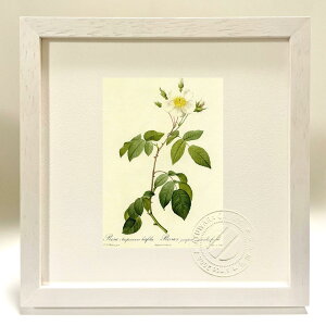 ŉ G TEZyEBXEeBtHA hD[e {^jJ KN o CeA z z i G |X^[ A[g A[gpl rO  v[g 