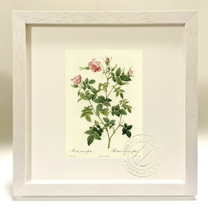 ŉ G TEpEBt[ hD[e {^jJ KN o CeA z z i G |X^[ A[g A[gpl rO  v[g _ A[gt[