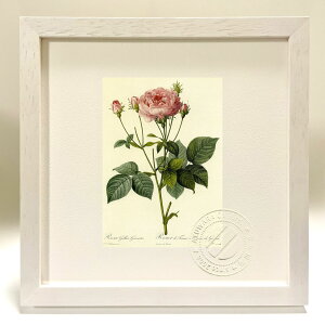 ŉ G TEKJEOigDX hD[e {^jJ KN o CeA z z i G |X^[ A[g A[gpl rO  v[g _ A[gt