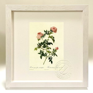 ŉ G TEZsEEt[EXueBvL hD[e {^jJ KN o CeA z z i G |X^[ A[g A[gpl rO  v[