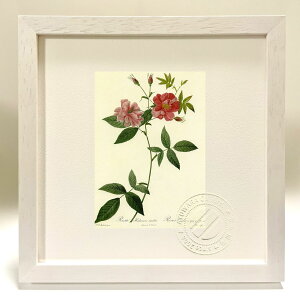 yI|Cg100obNzŉ G TEnh\jA[^EXJfX hD[e {^jJ KN o CeA z z i G |X^[ A[g A[gpl r