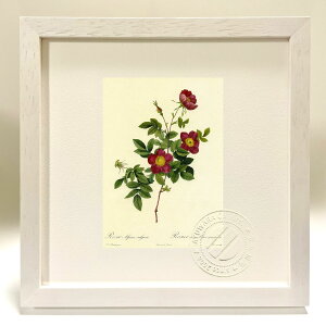 ŉ G TEAsiEEK[X hD[e {^jJ KN o CeA z z i G |X^[ A[g A[gpl rO  v[g _ A[gt