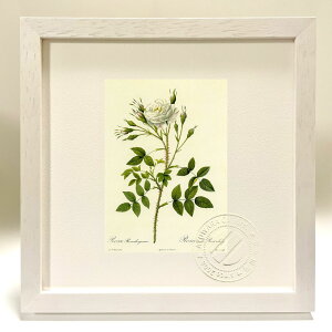 ŉ G TE[ZxMA[i hD[e {^jJ KN o CeA z z i G |X^[ A[g A[gpl rO  v[g _ A[gt