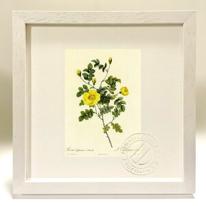 yX[p[SALEzzŉ G TEGOeAEeI hD[e {^jJ KN o CeA z z i G |X^[ A[g A[gpl rO  v