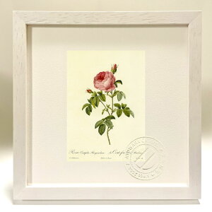 ŉ G TEPeBtHAEuOfBAJ hD[e {^jJ KN o CeA z z i G |X^[ A[g A[gpl rO  v[g 