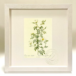 ŉ G TEZsEE~eBtHA hD[e {^jJ KN o CeA z z i G |X^[ A[g A[gpl rO  v[g _ A[