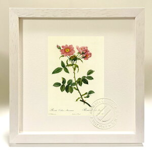 ŉ G TERiE\jA[i hD[e {^jJ KN o CeA z z i G |X^[ A[g A[gpl rO  v[g _ A[gt