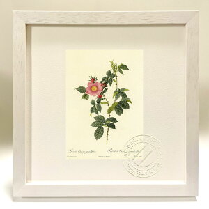 ŉ G TEJj[iEOfBt[ hD[e {^jJ KN o CeA z z i G |X^[ A[g A[gpl rO  v[g _ A