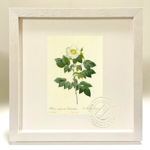 ŉ G TEZyEBXEVm[eBA[i hD[e {^jJ KN o CeA z z i G |X^[ A[g A[gpl rO  v