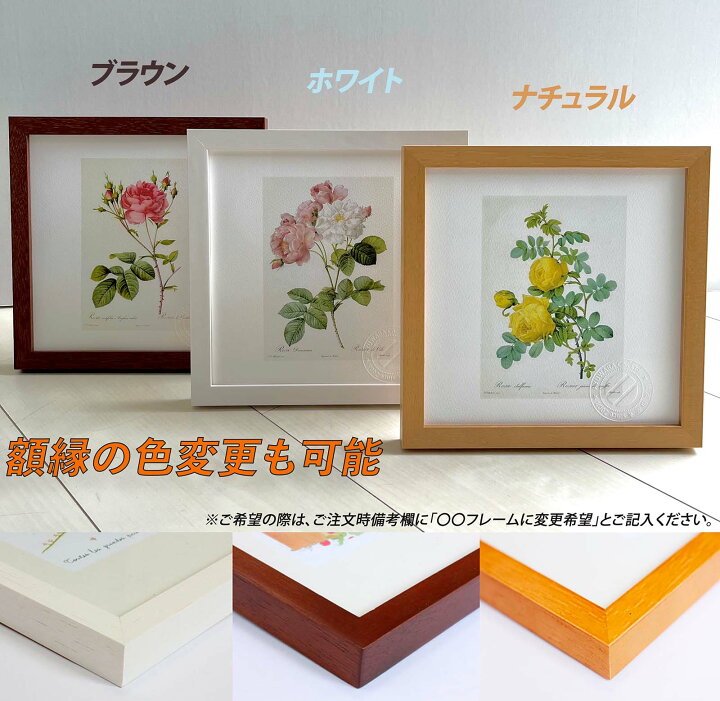 楽天市場】版画 絵画 ロサ・ムルティフローラ・プラティフィラ 