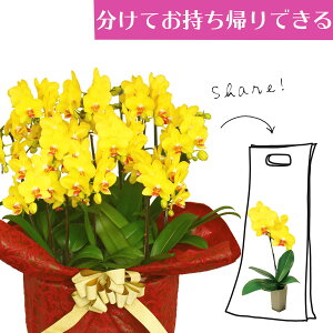 VFAI[Lbh VFAłӒ ~fBӒ CG[ F Ӓ 10{(10j/aj  Yn t[Mtg m Ӓ ~fBӒ JXj JƏj Mtg v