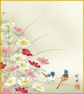色紙 色紙掛けなし 色紙絵 和風 秋桜 田村竹世 モダン 掛軸 床の間 和室 おしゃれ 壁掛け 絵