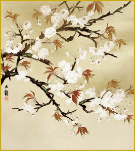 訳あり特価【抽選ポイント100%バック】色紙 色紙掛けなし 色紙絵 和風 桜 横山大観 モダン 掛軸 床の間 和室 おしゃれ 壁掛け 絵