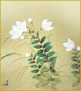 F F|Ȃ FG a j[ R _ | ̊ a  Ǌ| G