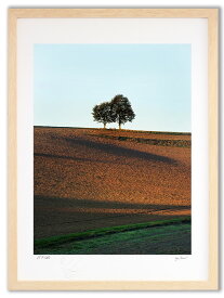 アートフォト 絵画 壁掛け 夏の朝(Summer morning）/インテリア 壁掛け 額入り 額装込 風景画 油絵 ポスター アート アートパネル リビング 玄関 プレゼント モダン アートフレーム おしゃれ 飾る Mサイズ