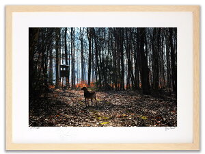 A[gtHg G Ǌ| (The hunt 2011j/CeA Ǌ| z z i G |X^[ A[g A[gpl rO  v[g _ A[gt[  