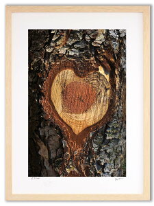 A[gtHg G Ǌ| ؂̃n[g(Woodenheart 2011j/CeA Ǌ| z z i G |X^[ A[g A[gpl rO  v[g _ A[gt[ 