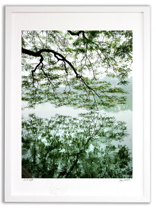 A[gtHg G Ǌ| ɔ߂a(InnerPeace IIj/CeA Ǌ| z z i G |X^[ A[g A[gpl rO  v[g _ A[gt[ 