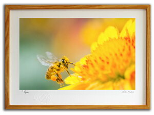 ŉ G ~co`ƃfCW[3(X~R XRbg)/CeA z z i G |X^[ A[g A[gpl rO  v[g _ A[gt[   Ǌ|