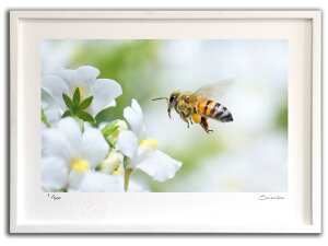 ŉ G ~co`ƔlVA(X~R XRbg)/CeA z z i G |X^[ A[g A[gpl rO  v[g _ A[gt[   