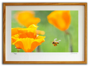 ŉ G ~co`ƃJtHjA|s[(X~R XRbg)/CeA z z i G |X^[ A[g A[gpl rO  v[g _ A[gt[  