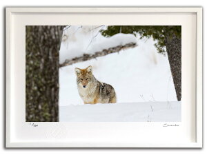 ŉ G ~̃R[eACG[Xg[(X~R XRbg)/CeA z z i G |X^[ A[g A[gpl rO  v[g _ A[gt[