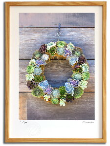 ŉ G T{e[X(X~R XRbg)/CeA z z i G |X^[ A[g A[gpl rO  v[g _ A[gt[   Ǌ| G