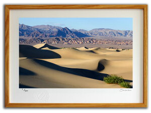 yX[p[SALE50OFFzŉ G fXo[(X~R XRbg)/CeA z z i G |X^[ A[g A[gpl rO  v[g _ A[gt[