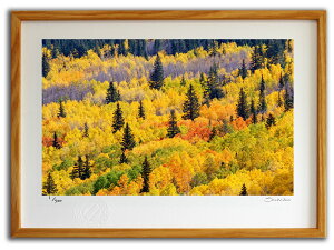 ŉ G j[LVR̍gt(X~R XRbg)/CeA z z i G |X^[ A[g A[gpl rO  v[g _ A[gt[   