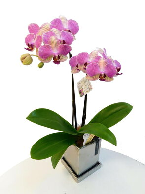 9ntffoqmraefgm 9ntffoqmraefgm