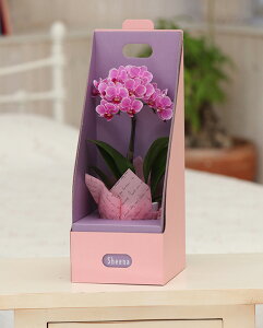 }CNӒ sNFӒ 1{ 2EGCe[u{bNXti傤j/aj  Yn t[Mtg m Ӓ ~fBӒ JXj JƏj Mtg v[