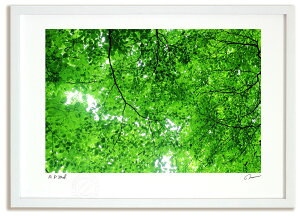 A[gtHg G Ă̂сi2014)/ؘR CeA z z i G |X^[ A[g A[gpl rO  v[g _ A[gt[   